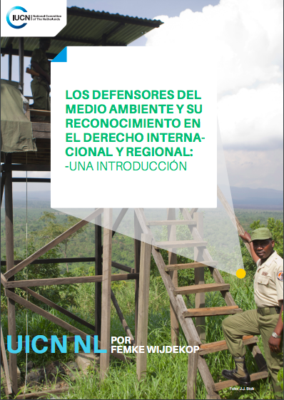 Los defensores del medio ambiente y su reconocimiento en el derecho internacional y regional. Una introducción.