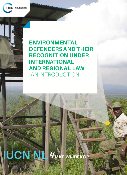 Environmental defenders and their recognition under international and regional law. An introduction.