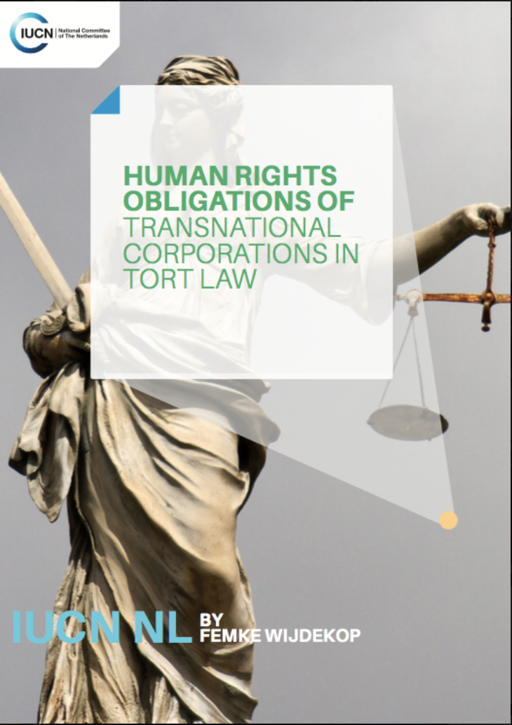 Human Rights Obligations of Transnational Corporations in Tort Law