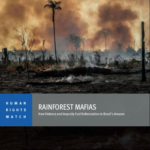 Rainforest Mafias. How Violence and Impunity Fuel Deforestation in Brazil’s Amazon