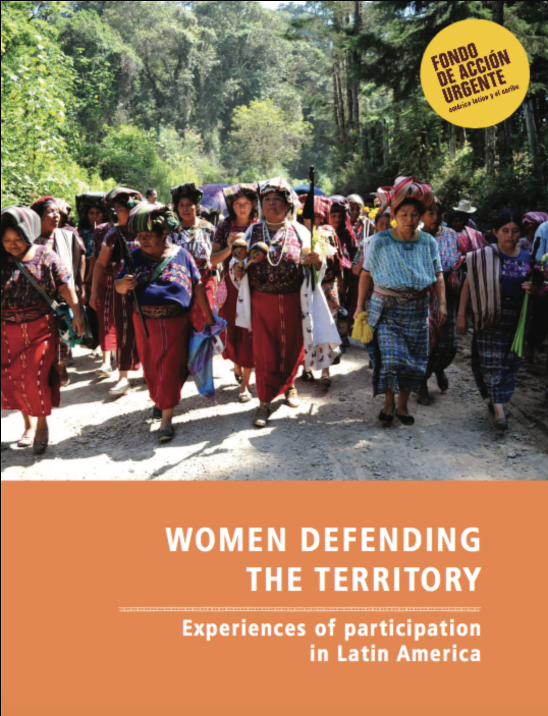 Women defending the territory. Experiences of participation in Latin America