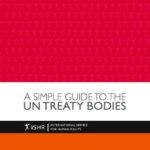 A Simple Guide to the UN Treaty Bodies