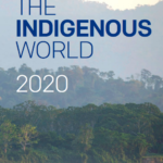 The Indigenous World 2020