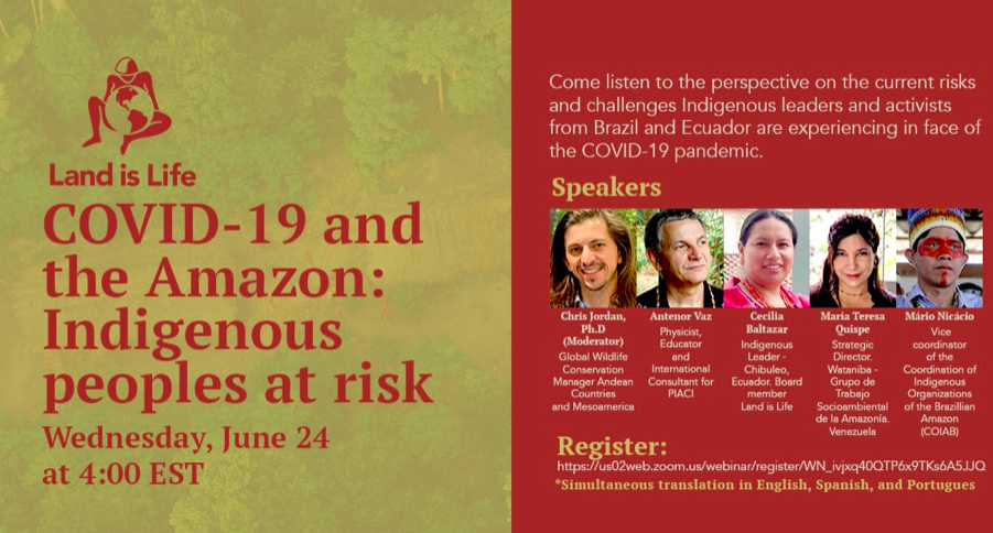 COVID-19 and the Amazon: Indigenous Peoples at Risk