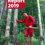 Forest Peoples Porgramme Annual Report 2019