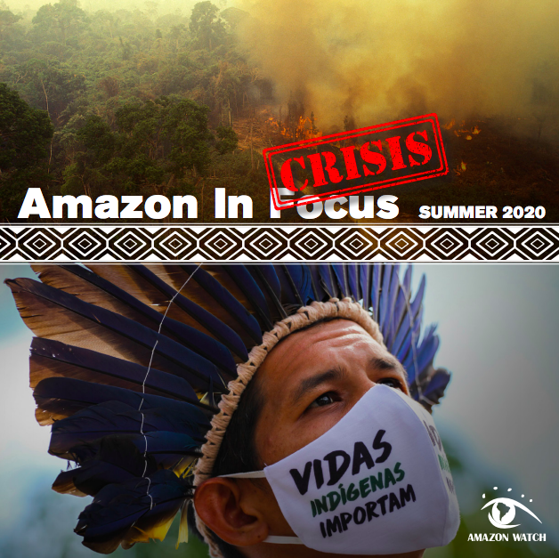 Amazon in Crisis
