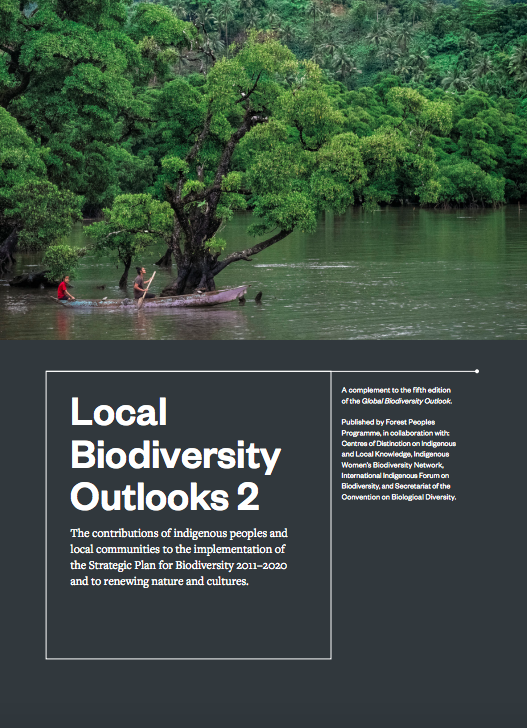 Local Biodiversity Outlooks 2: The contributions of indigenous peoples and local communities to the implementation of the Strategic Plan for Biodiversity 2011–2020 and to renewing nature and cultures.