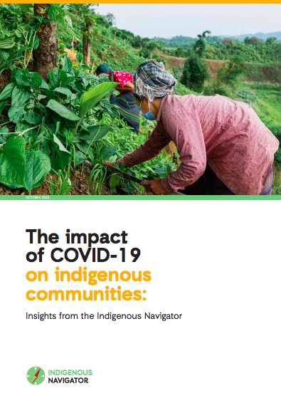 The impact of COVID-19 on indigenous communities: Insights from the Indigenous Navigator
