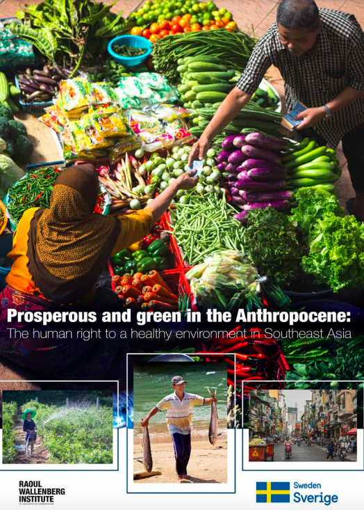 Prosperous and Green in the Anthropocene: The Human Right to a Healthy Environment in Southeast Asia
