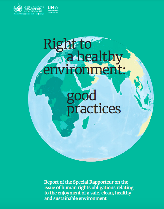 Right to a Healthy Environment: Good Practices