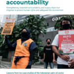 Demanding Accountability: Strengthening corporate accountability and supply chain due diligence to protect human rights and safeguard the environment
