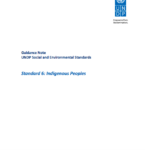 Guidance Note: UNDP Social and Environmental Standards – Indigenous Peoples (Standard 6) Se ha habilitado la compatibilidad con lectores de pantalla.
